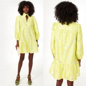 TUCKERNUCK Citron Fil Coupe Palmerston Mini Dress. Size XS